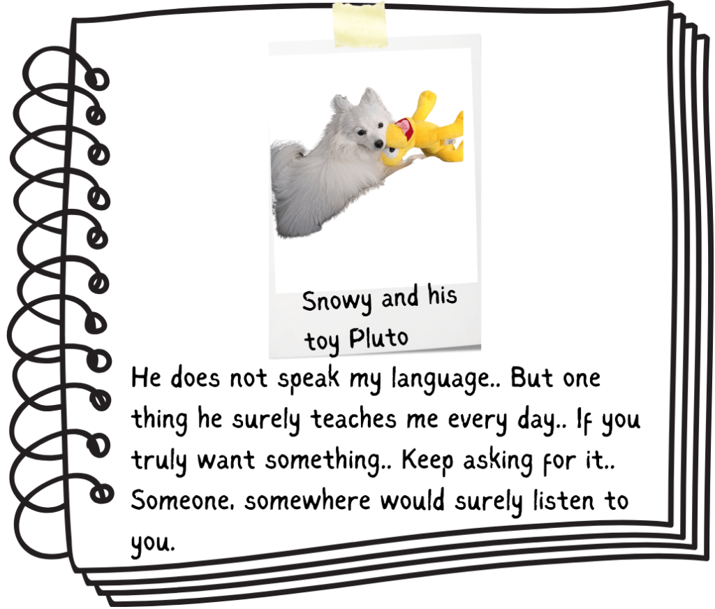 Maango’s diary | Episode 1 – How Maango got his&nbsp;name…